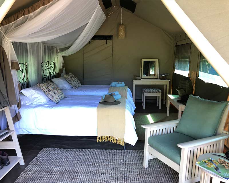 Twin Tented Accommodation Mana Pools